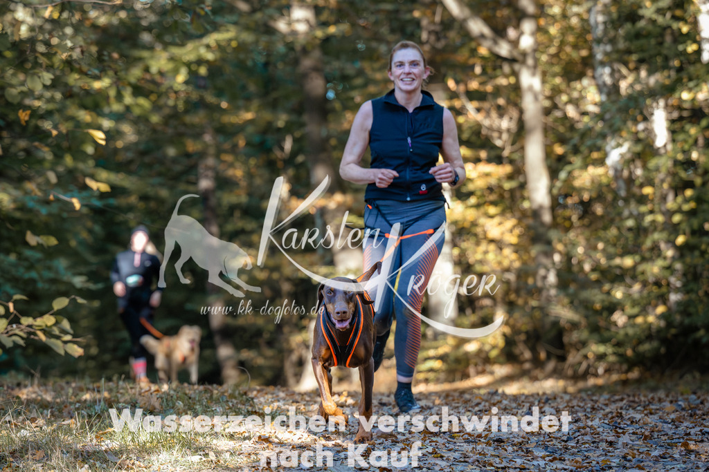 1034_ZZ90395 | kk-dogfotos