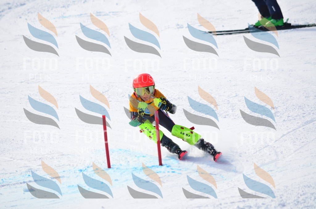 C8756 | holidayphoto