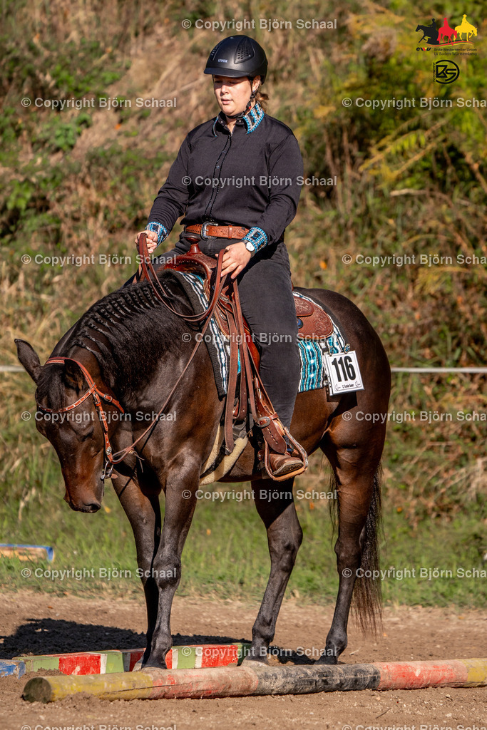 SAL02555 | BS-foto