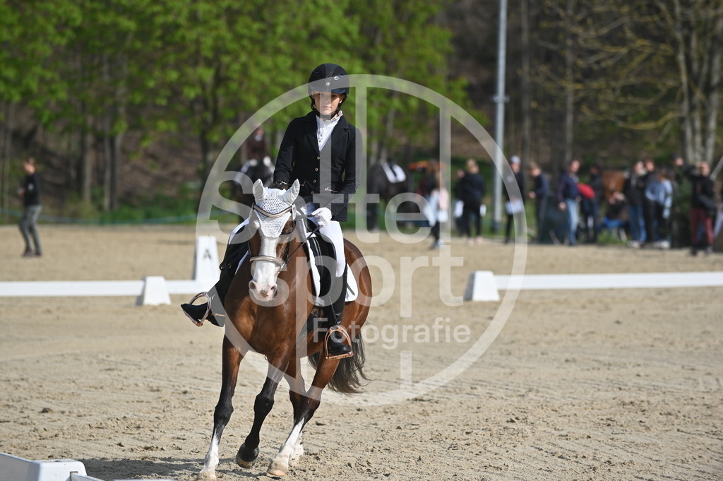 DSC_0503 | sattelsport - Realisiert mit Pictrs.com