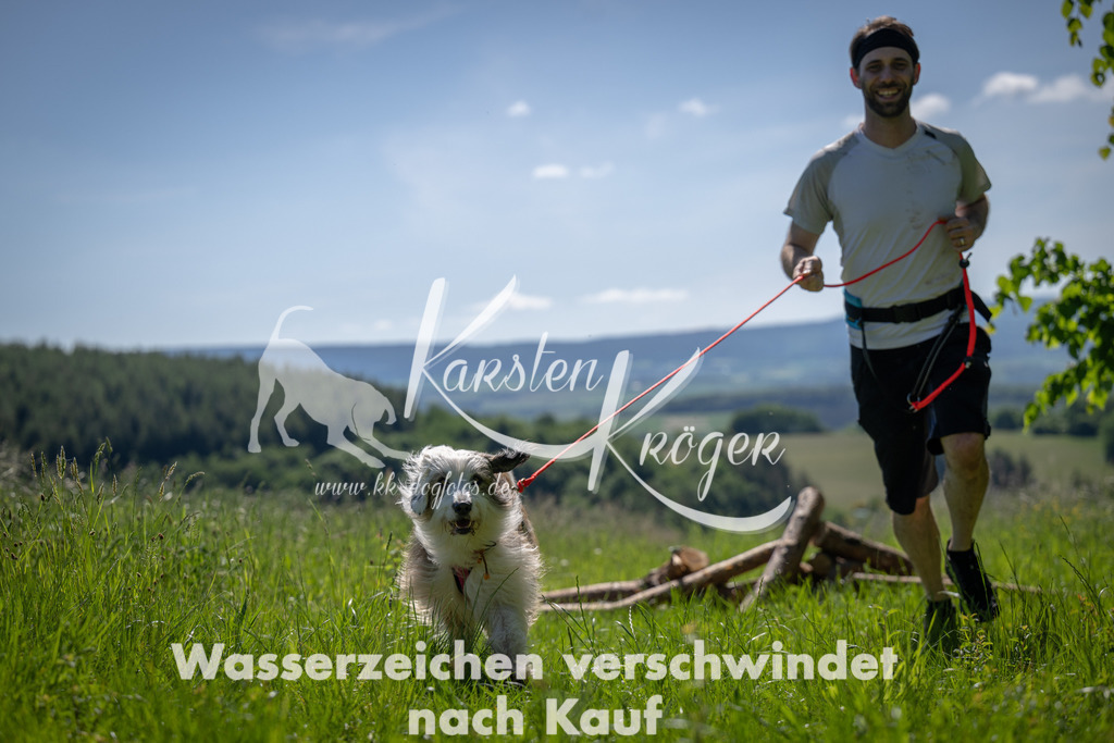 1045_ZZ93741 | kk-dogfotos