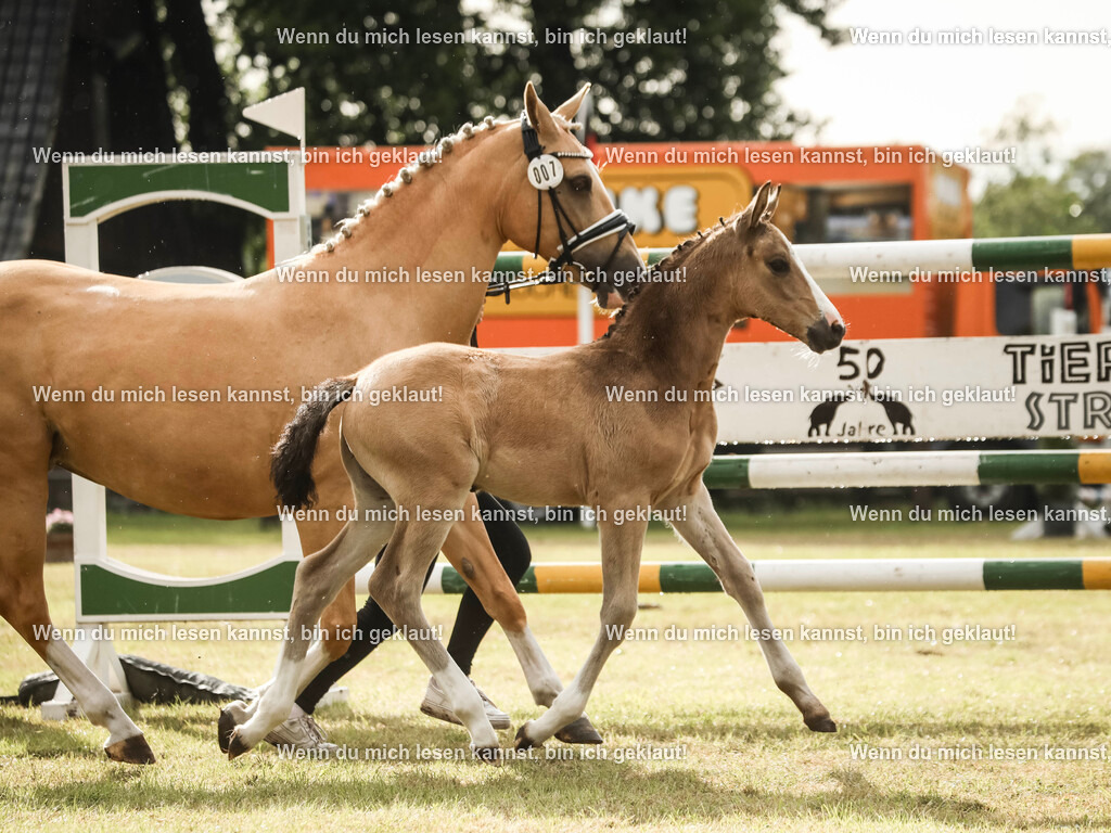 598A2250-2 | photographylinaismer - Realisiert mit Pictrs.com