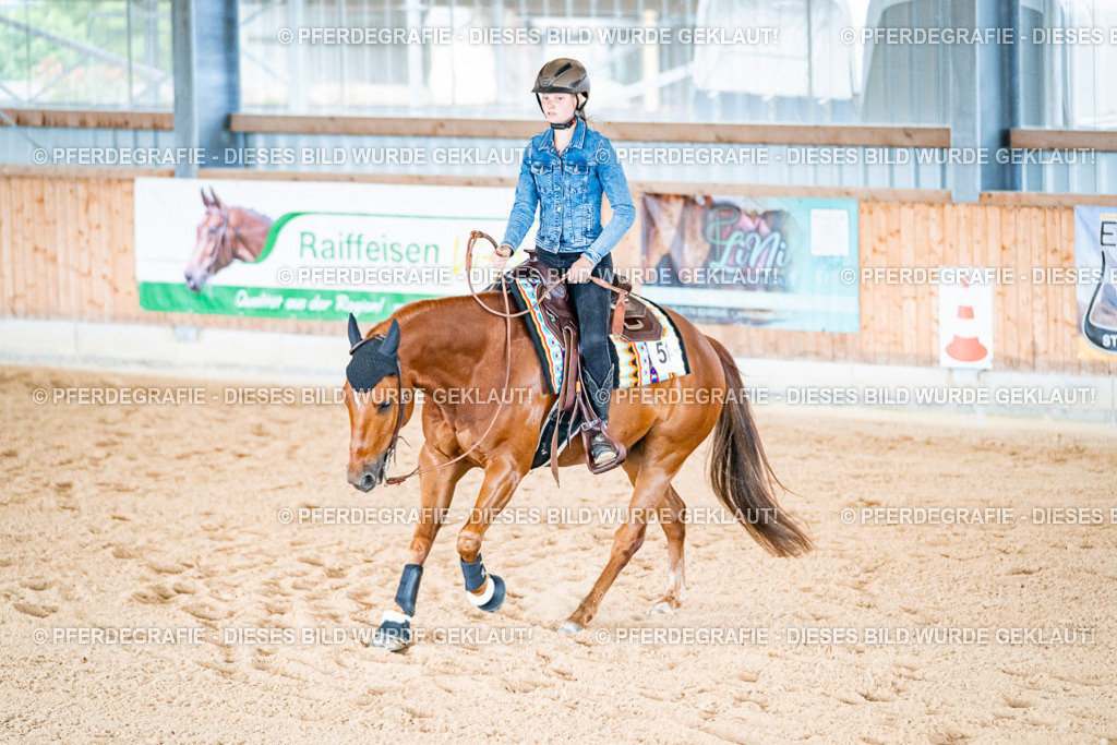 DSC09434 | Pferdegrafie