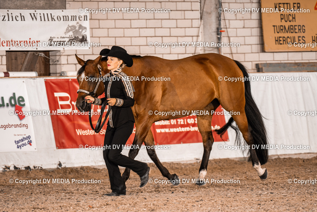 ZH100050 | dv-media-shop - Realisiert mit Pictrs.com