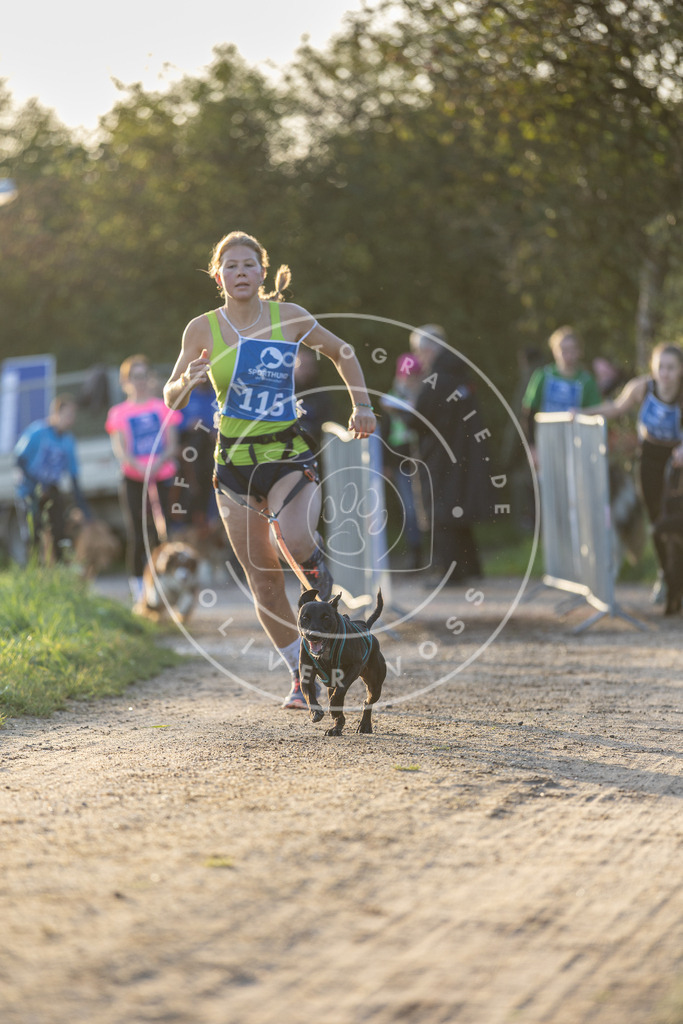 Pfotenfotografie.de_DV3A2453 | Hundefotografie, Tierfotograf, Pfotenfotografie, Fotoshooting Hund, Hunde Portrait, Hundesport, Hundeportraits, Heideshooting, Hunde, Sportfotograf, Hundefotograf, Turnierhundsport, THS, canicross - Realisiert mit Pictrs.com