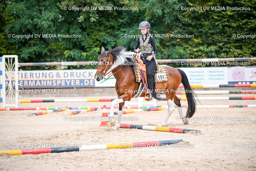 ZS2_3753 | dv-media-shop - Realisiert mit Pictrs.com