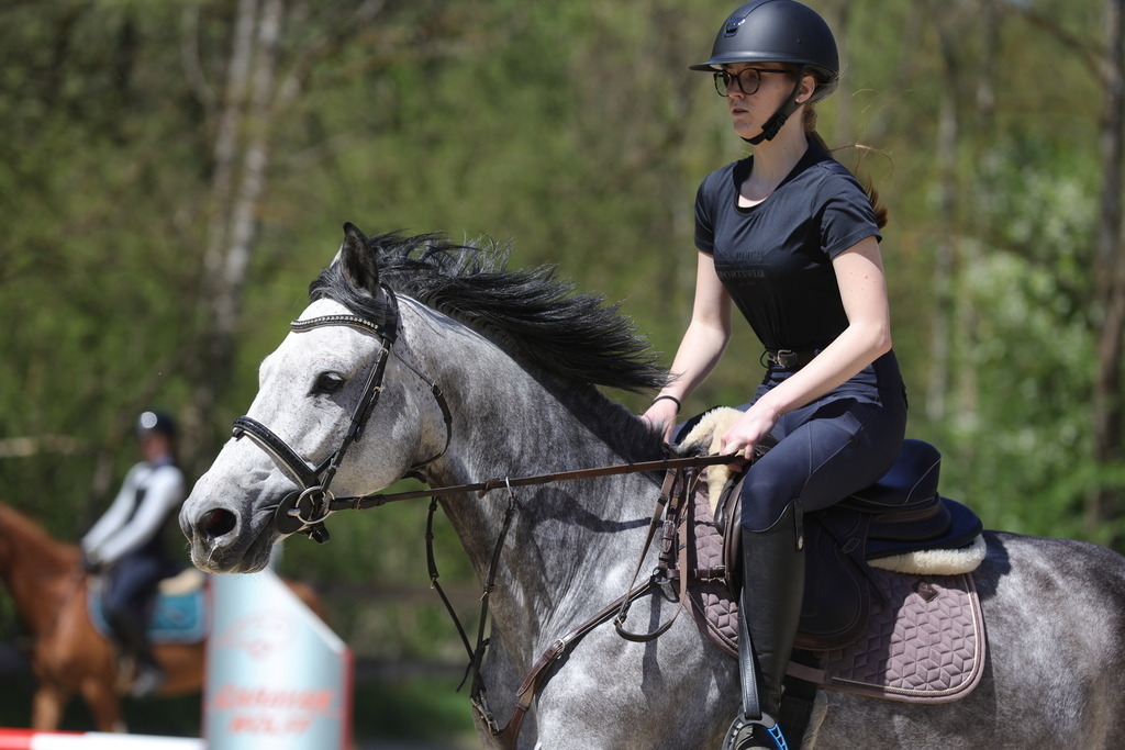 0P6A8814 | Willkommen bei Brunnmayr - Design & Fotografie – Ihrem Spezialisten für Reitturniere und Pferdeveranstaltungen in Oberösterreich, Salzburg und Bayern! Seit über 17 Jahren sind wir leidenschaftlich dabei.