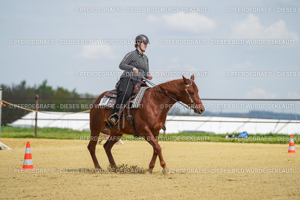 DSC05569 | Pferdegrafie