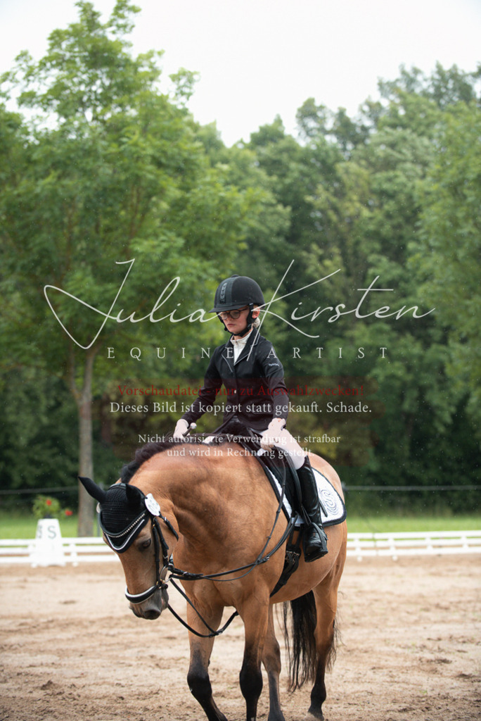 DSC_9894 | Pferde- und Turnierfotografie in Westsachsen. Pferdeportraits, Auftragszeichnungen und intuitive Kunst.