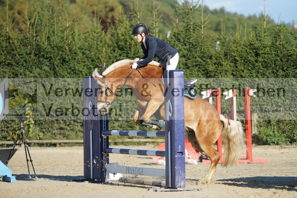 DSC09416 | equestrian-live-com
