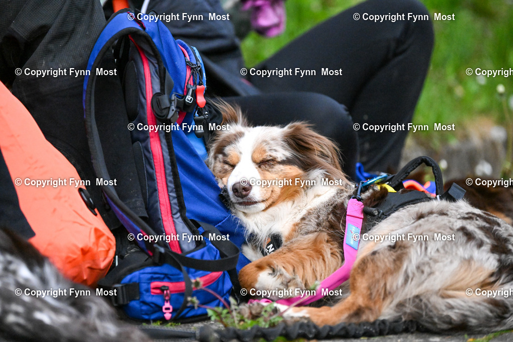 DSC_1375 | Hallo und herzlich Willkommen auf meiner Shop-Seite Fynn Most.

Ich wünsche Dir viel Spaß beim stöbern durch die Bilder, wenn Du Fragen hast oder Bilder vermisst, kannst du mir gerne eine Nachricht schreiben. - Realisiert mit Pictrs.com