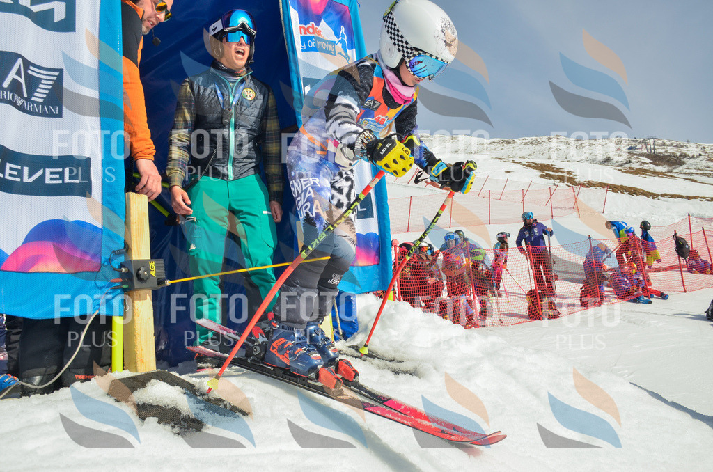 _ELE4528 | holidayphoto