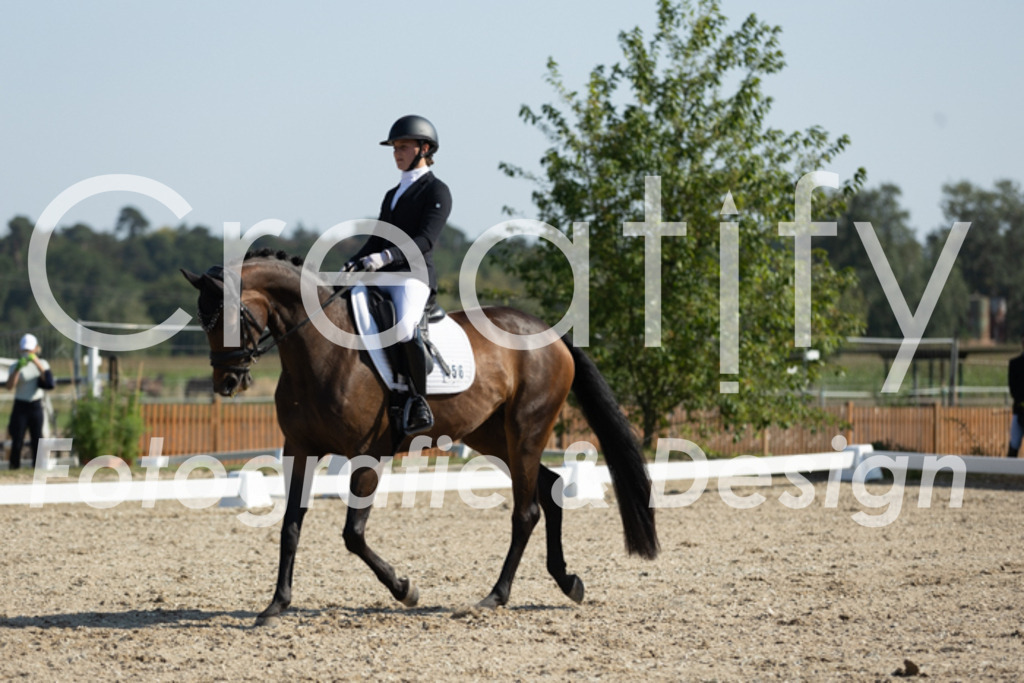 IMG_5927 | Creatify Fotografie