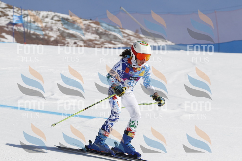 _U3G9395 | holidayphoto