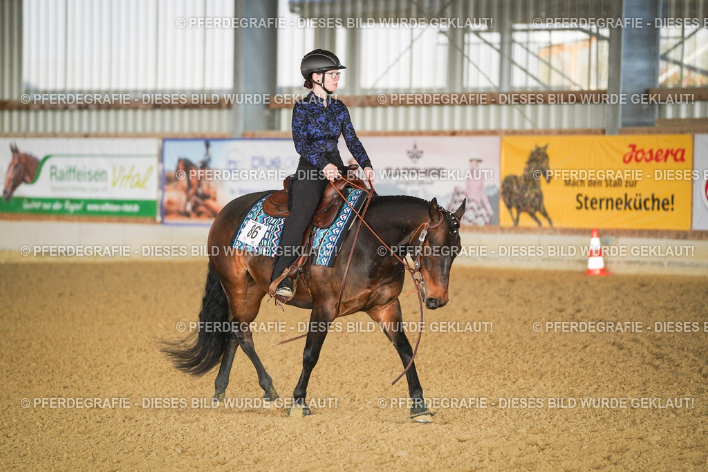 DSC08175 | Pferdegrafie