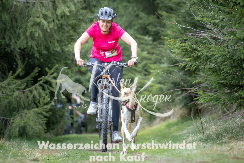 1310_ZZ93787 | kk-dogfotos