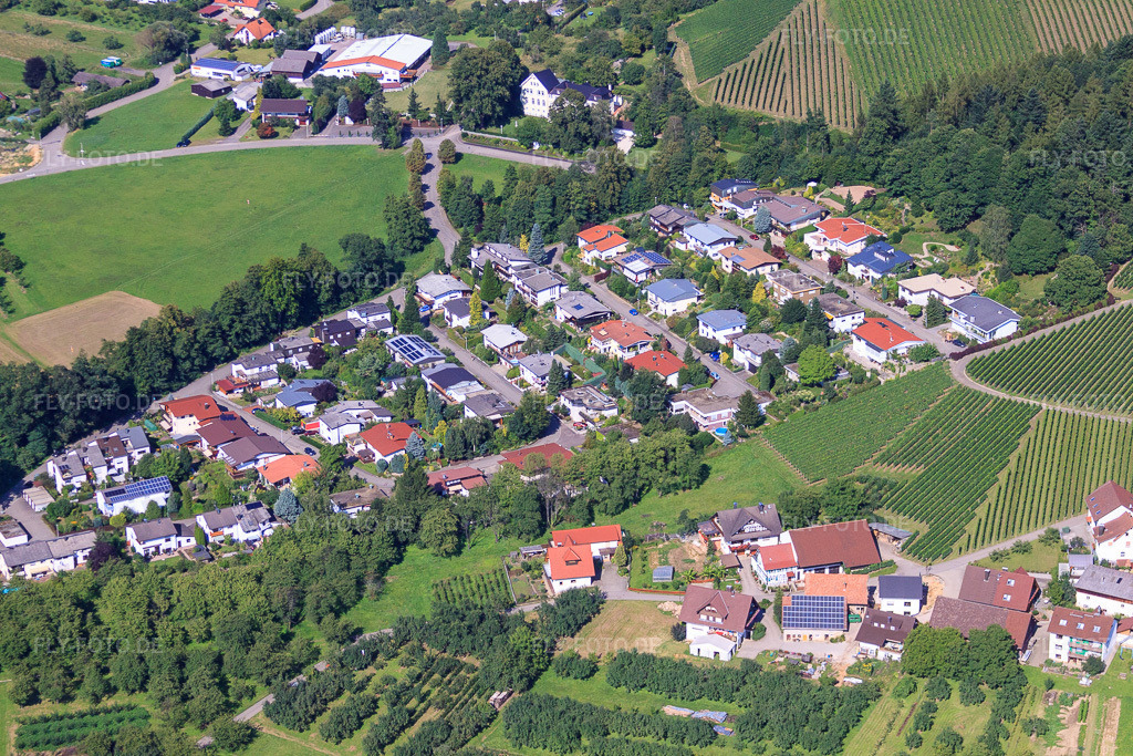 Luftbild: Eschenweg in Lauf im Bundesland Baden-Württemberg in Deutschland. Foto: IMG_31480.jpg vom 09.08.2010 durch Werner Riehm/FLY-FOTO.de