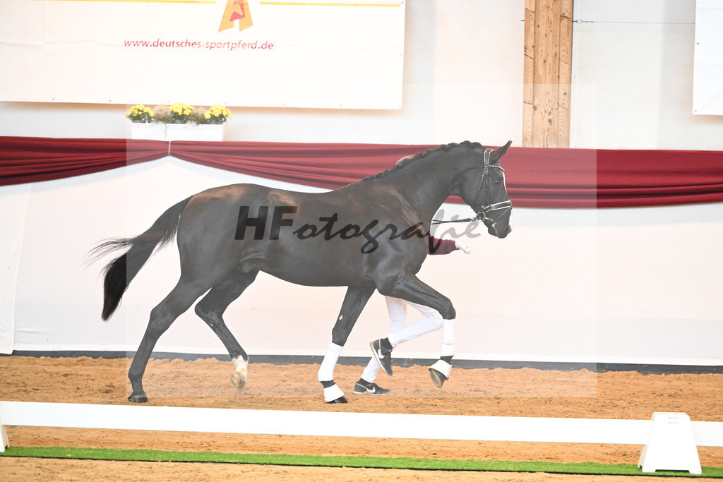 Kat-Nr. 34 v. Fuerstenball_Wurm_66220473 | hf-fotografie - Realisiert mit Pictrs.com