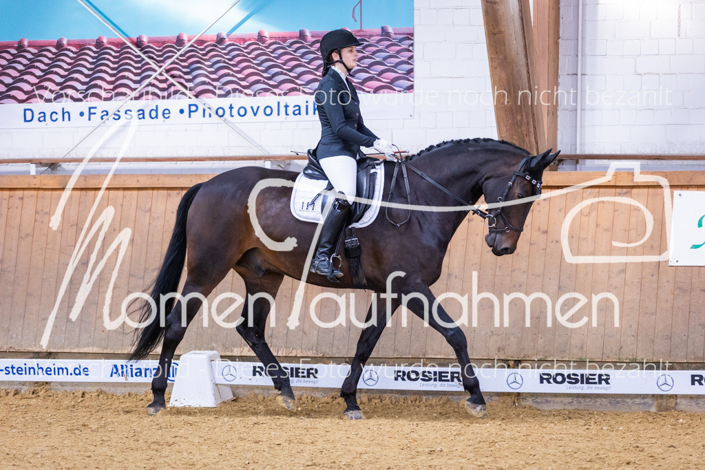 Sth-A-Dre-1St-237 | MomenTaufnahmen Pferdesportfotos