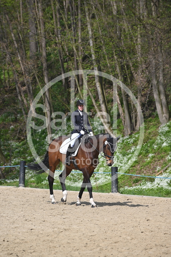 DSC_1025 | sattelsport - Realisiert mit Pictrs.com