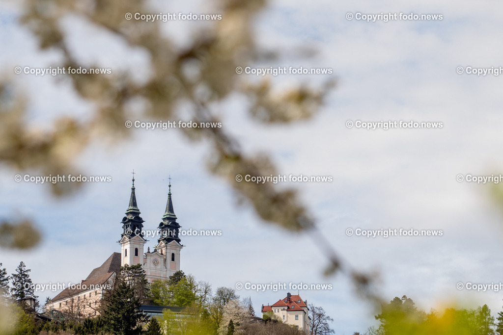 Linz_ Pöstlingberg_ 15.04.2025-12 | 15.04.2025, LINZ, AUT, Themenbild, im Bild Poestlingberg, Kirche, Berg, Fruehling, Himmel, Turm, Tuerme, Ausflugsziel, Poestlingbergkirche, Wallfahrtsbasilika, Wahrzeichen, Linz, Baeume, Pflanzen, Feature, Symbolbild