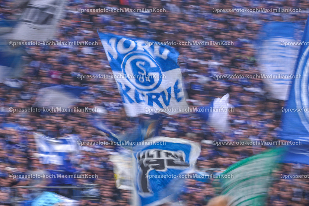 Schalke10112401046 | 10.11.2024, Fußball, FC Schalke 04 - SSV Jahn Regensburg, 2. Fußball Bundesliga, Veltins-Arena Gelsenkirchen, Saison 2024 2025: Feature Fans Nordkurve Fahne Fahnen Symbolbild Zuschauer Zuschauerzahlen Schalkefans Dynamisch DynamikDFB regulations prohibit any use of photographs as image sequences and or quasi-video.