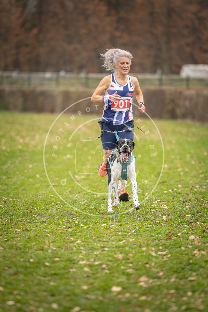 CaniXpix_DV3A6936 | Hundefotografie, Tierfotograf, Pfotenfotografie, Fotoshooting Hund, Hunde Portrait, Hundesport, Hundeportraits, Heideshooting, Hunde, Sportfotograf, Hundefotograf, Turnierhundsport, THS,  - Realisiert mit Pictrs.com