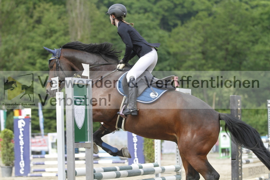 _MG_4561 | equestrian-live-com