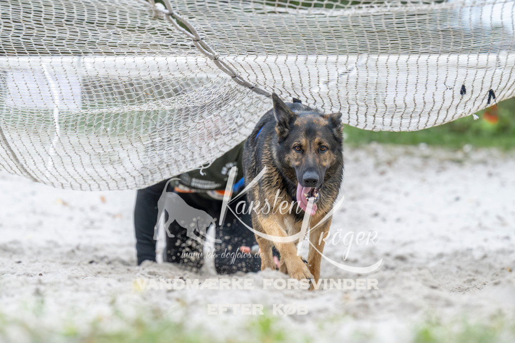1039_ZZ94811 | kk-dogfotos