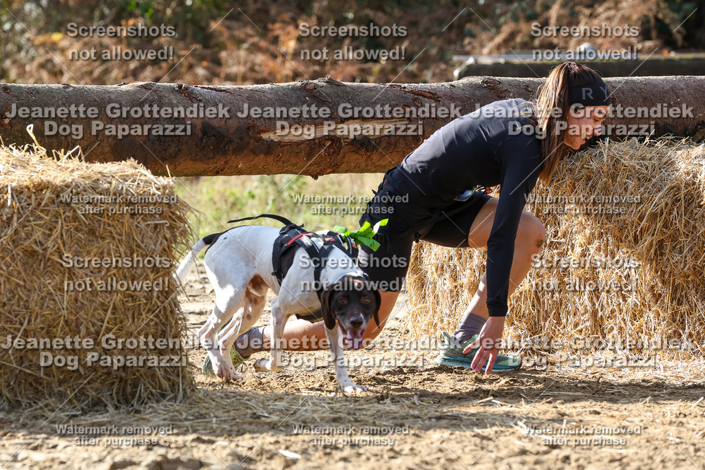 Dog Paparazzi - Strongdog 10-25-5940 | Dog Paparazzi Jeanette Grottendiek Fotografie & Videografie - Realisiert mit Pictrs.com