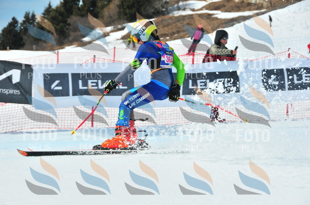 DSC_7076 | holidayphoto