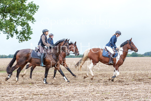Jagd Perdoel 26 Sony-03346_MarinaHewig | Fotografie, FotoArt, PferdesportArt, Pferdesportfotografie, Landschaftsfotografie, Reisefotografie, Reise, Pferde - Realisiert mit Pictrs.com