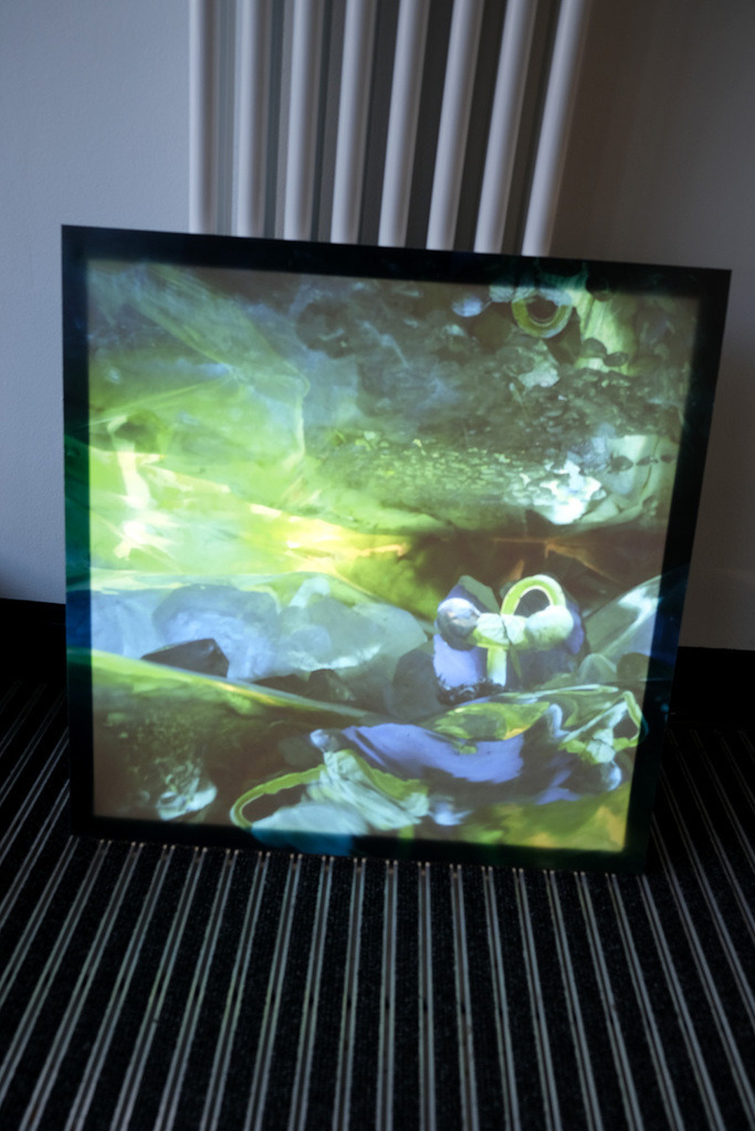 Keim | Eine besondere Präsentationsform meiner Fotografien sind Backlight-Bilder: von hinten beleuchtet entfalten sie ihre ganz eigene Strahlkraft und Tiefe. Es handelt sich um Sonderanfertigungen – bei Interesse freue ich mich über eine Nachricht per E-Mail:praxis@cornelia-geissler.de - Bild 60x60 cm mit Hintergrundbeleuchtung.  - Realisiert mit Pictrs.com