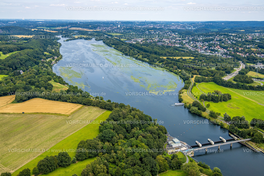 Witten240711109KemnaderSee | Luftbild, Kemnader Stausee mit Elodea, Wasserpest, Algenblüte, Segelboote und Stand-Up Paddeler, Witten, Nordrhein-Westfalen, Deutschland