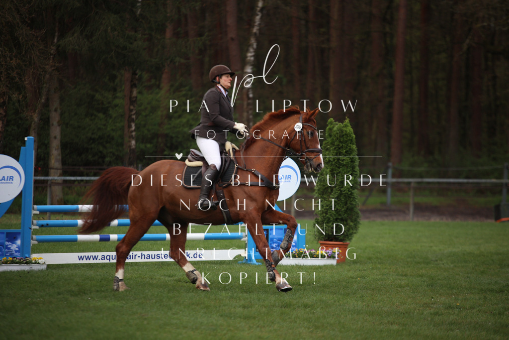 IMGT2293 | pl-fotografie