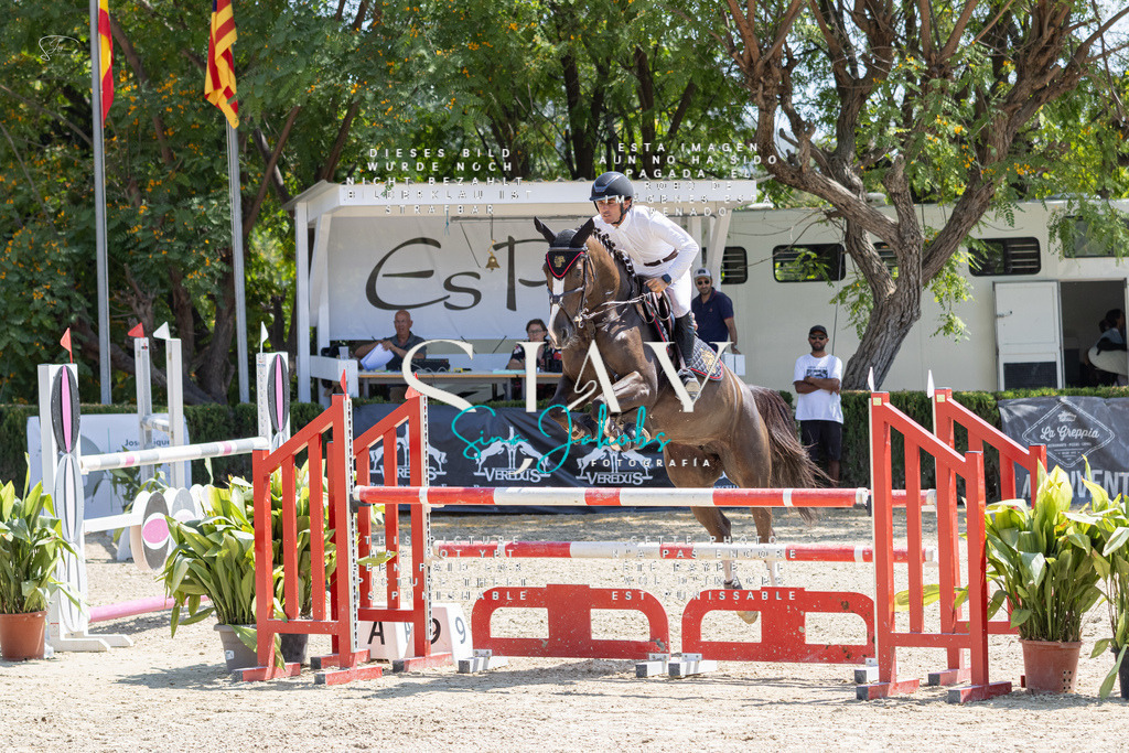 IMG_7999 | s-jay-photography - Realisiert mit Pictrs.com