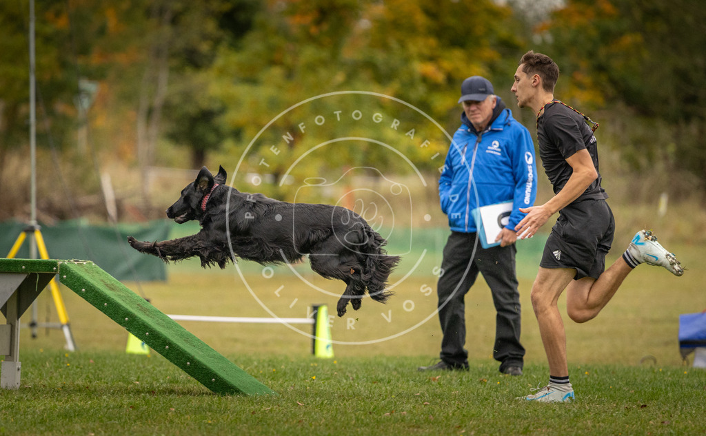 Pfotenfotografie_DV3A7683 | Hundefotografie, Tierfotograf, Pfotenfotografie, Fotoshooting Hund, Hunde Portrait, Hundesport, Hundeportraits, Heideshooting, Hunde, Sportfotograf, Hundefotograf, Turnierhundsport, THS,  - Realisiert mit Pictrs.com
