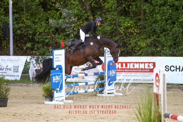 DKP42746 | Turniersportfotografie; Pferdefotografie; Dressurfotografie