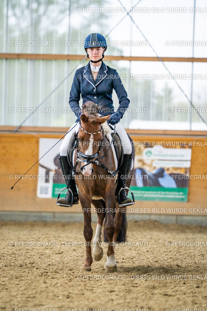 DSC03803 | Pferdegrafie