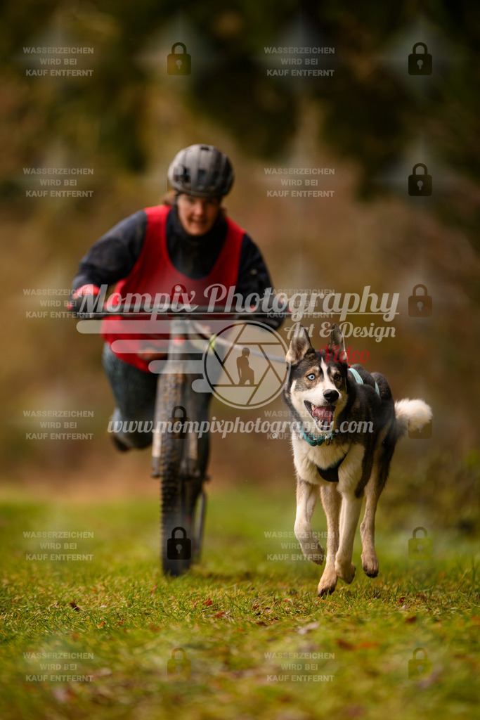 MompixPhotography_2SSTSSBW_2025_SO_Scooter-50 | PayLife