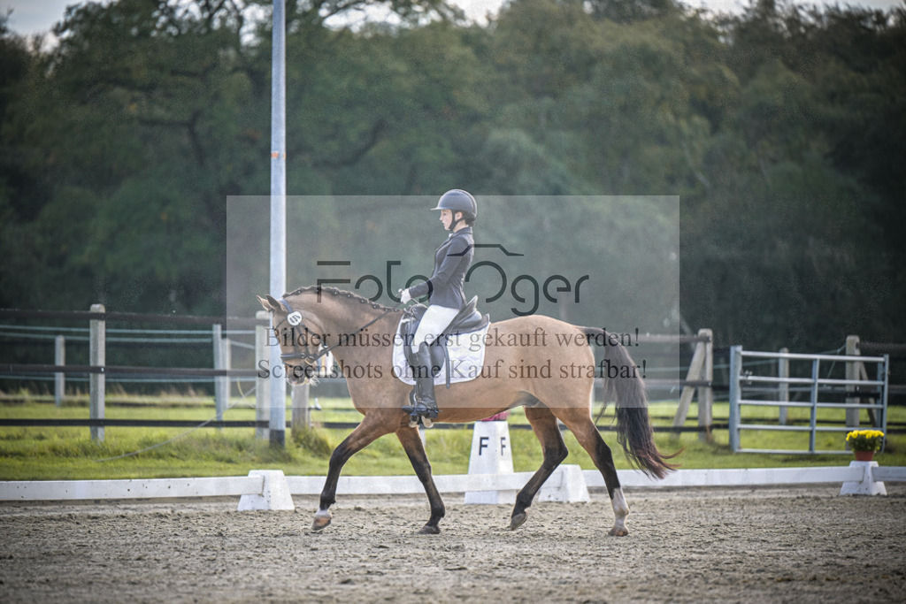 DOS_4334 | Entdecke hochwertige Reitturnierfotos von Foto Oger. Professionell, emotional und authentisch – jetzt Lieblingsmomente im Shop bestellen.Deutschlandweite Turnierfotografie. - Realisiert mit Pictrs.com