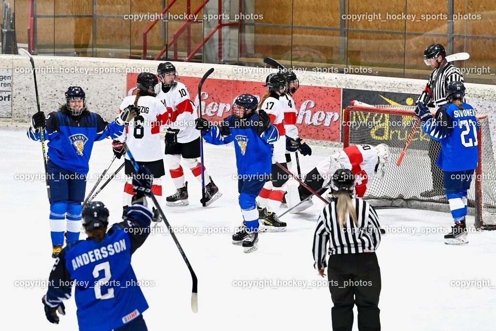 BST_3303 | hockey sports photos, Pressefotos, Sportfotos, hockey247, win 2day icehockeyleague, Handball Austria, Floorball Austria, ÖVV, Kärntner Eishockeyverband, KEHV, KFV, Kärntner Fussballverband, Österreichischer Volleyballverband, Alps Hockey League, ÖFB, 