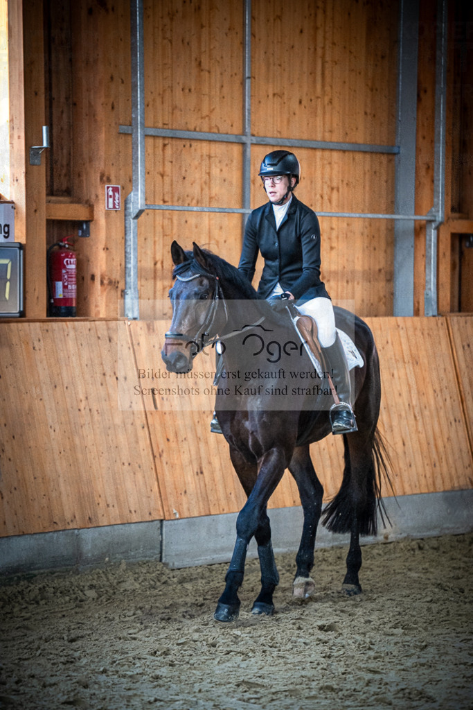 DOS_0905 | Entdecke hochwertige Reitturnierfotos von Foto Oger. Professionell, emotional und authentisch – jetzt Lieblingsmomente im Shop bestellen.Deutschlandweite Turnierfotografie. - Realisiert mit Pictrs.com