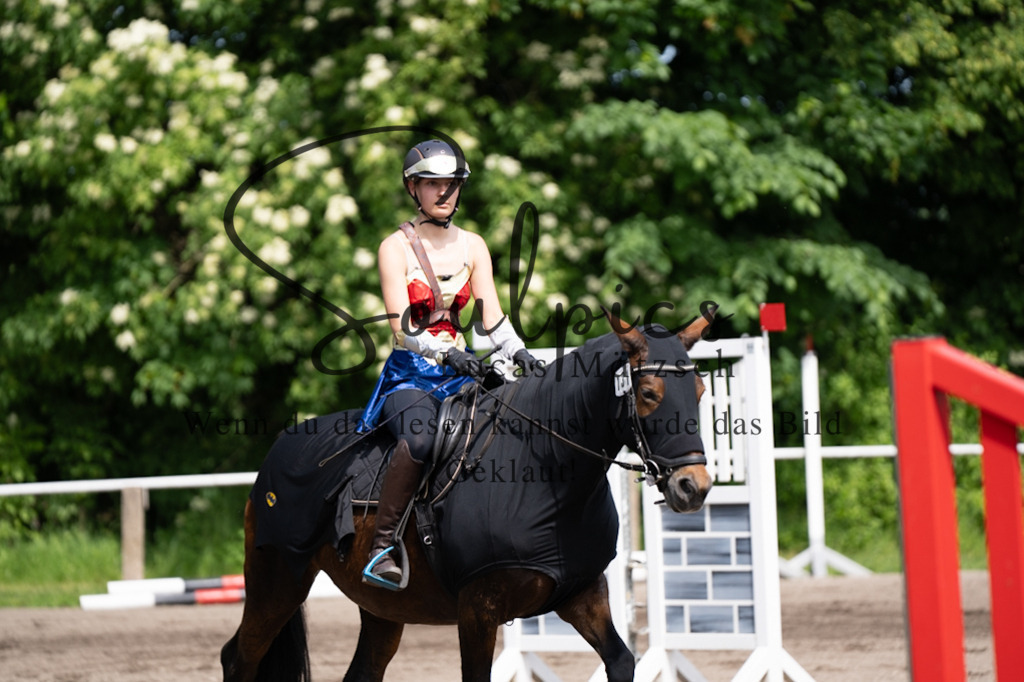 A7V04612 | Pferdefotograf