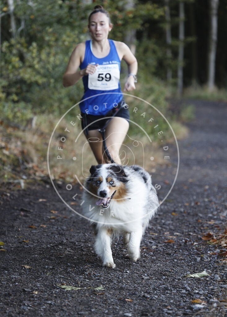 0L8A1855 | Hundefotografie, Tierfotograf, Pfotenfotografie, Fotoshooting Hund, Hunde Portrait, Hundesport, Hundeportraits, Heideshooting, Hunde, Sportfotograf, Hundefotograf, Turnierhundsport, THS,  - Realisiert mit Pictrs.com