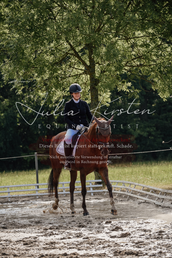 DSC_9222 | Pferde- und Turnierfotografie in Westsachsen. Pferdeportraits, Auftragszeichnungen und intuitive Kunst.