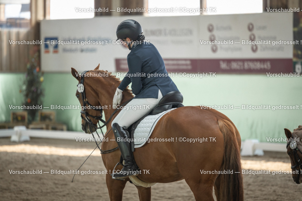 _D5A5625 | Emotionale Pferde- & People-Fotografie rund um Heidelberg, Leimen & Umgebung. Natürliche Fotos von Pferd, Mensch & Familie. Jetzt Termin sichern!