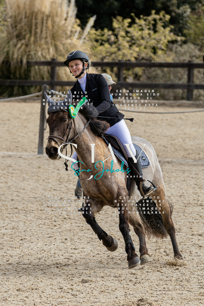 IMG_4491 | s-jay-photography - Realisiert mit Pictrs.com