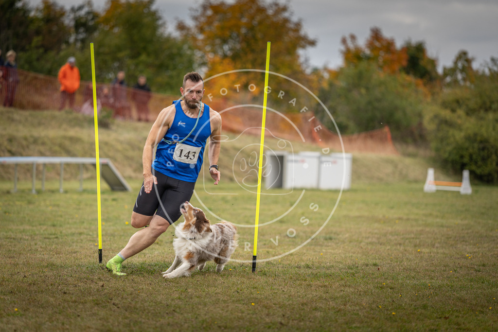 Pfotenfotografie_DV3A8006 | Hundefotografie, Tierfotograf, Pfotenfotografie, Fotoshooting Hund, Hunde Portrait, Hundesport, Hundeportraits, Heideshooting, Hunde, Sportfotograf, Hundefotograf, Turnierhundsport, THS,  - Realisiert mit Pictrs.com