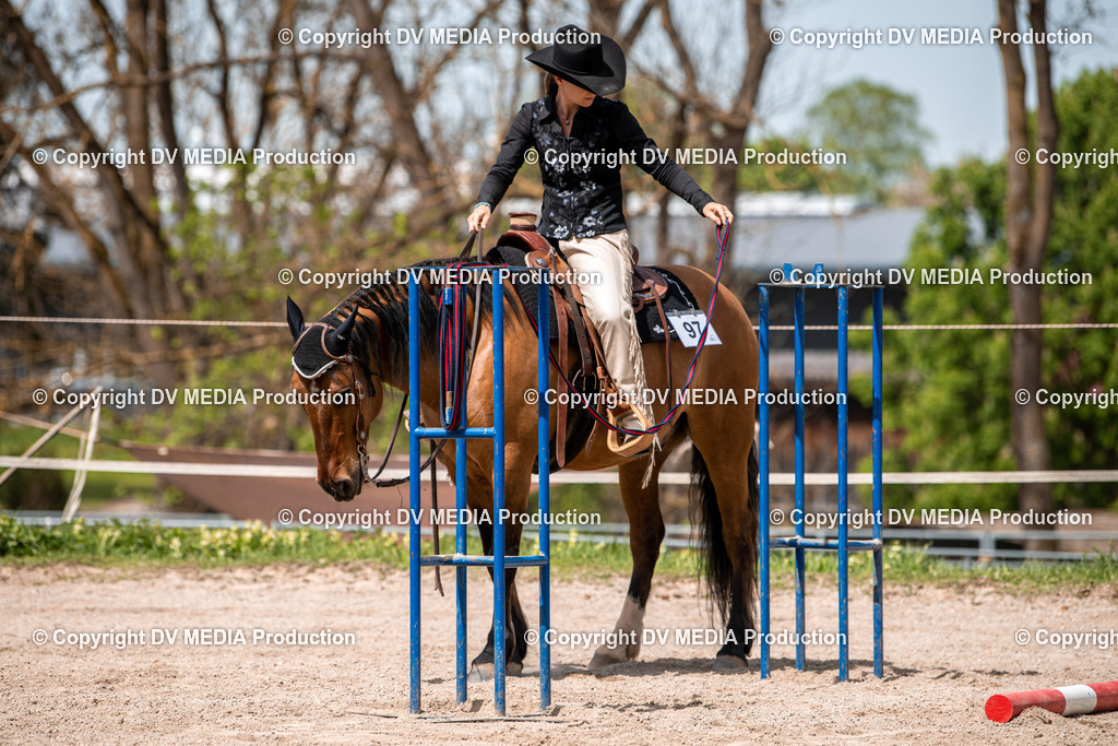 Balingen Tag 4-633 | dv-media-shop - Realisiert mit Pictrs.com